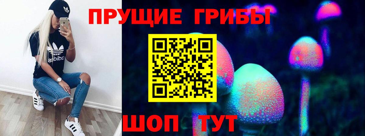 Галлюциногенные грибы мицелий  Вход с VPN  Батайск  сколько стоит  Галлюциногенные грибы Psilocybine cubensis 